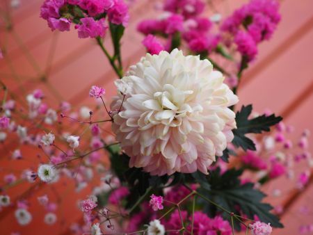 spring_flowers.JPG